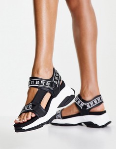 Черные сандалии с логотипом на ремешках и на плоской платформе Steve Madden Magnitude-Черный цвет