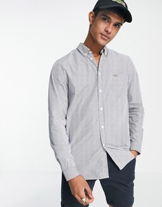 Рубашка с длинными рукавами Lacoste-Голубой