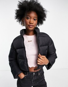 Черный укороченный пуховик ASOS DESIGN-Черный цвет