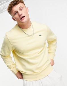 Светло-бежевый базовый свитшот с круглым вырезом Lacoste-Светло-бежевый цвет