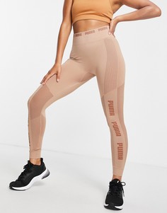 Бесшовные леггинсы цвета мокко Puma Training Evoknit-Коричневый цвет