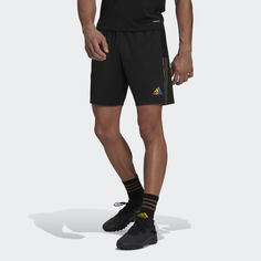 Шорты Tiro adidas Performance