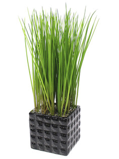 Трава в керамическом кашпо Квадрат Gerard de ros