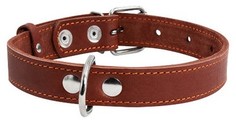 Ошейник для собак Collar строгий одинарный, кожа, черный, обхват шеи 48-63 см