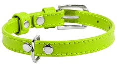 Ошейник для собак Collar WAUDOG GLAMOUR повседневный, кожа, зеленый, обхват шеи 18-21 см