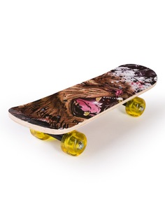 Скейтборд SXRIDE JST43 Lion PU, 43х13х8,5 см JST43PU02
