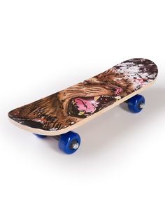 Скейтборд SXRIDE JST43 Lion PVC, 43х13х8,5 см JST43PVC02