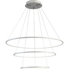 Светильник ST-Luce Подвесной светодиодный Erto SL904.503.03