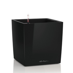 Кашпо с автополивом Lechuza cube premium 30см чёрное