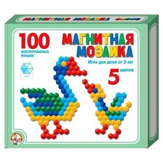 Мозаика магнитная шестигранная, 5 цветов, 100 элементов Десятое королевство