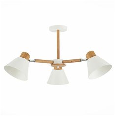 Потолочная люстра Evoluce Buve SLE103702-03