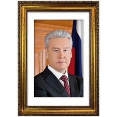 Портрет Собянин С.С., арт. ПТ-6-8, размер А-3 (30x42 см), багетная рамка под золото Mega Art