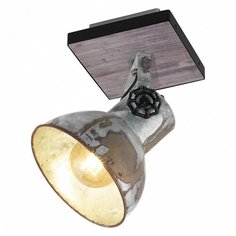 Спот Eglo ПРОМО Barnstaple 49648