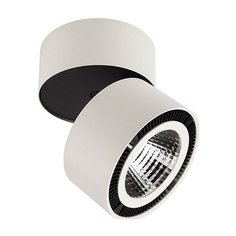 Спот Lightstar Forte Muro LED 213850