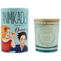 Свеча ароматическая Animikados Eternal optimist 40 ч Ambientair