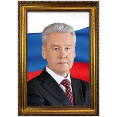 Портрет Собянин С.С., арт. ПТ-6-5, размер А-3 (30x42 см), багетная рамка под золото Mega Art