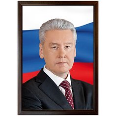 Портрет Собянин С.С., арт. ПТ-6-5, размер А-4 (21x30 см), деревянная рамка Mega Art