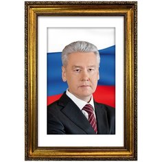 Портрет Собянин С.С., арт. ПТ-6-6, размер А-4 (21x30 см), багетная рамка под золото Mega Art