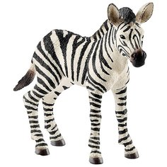 Фигурка Schleich Зебра детеныш 14811
