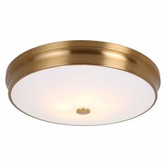 Накладной светильник Favourite Pannikin 2375-5C