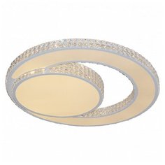 Накладной светильник Escada 10205 10205/2LED