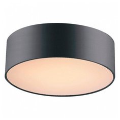 Накладной светильник Favourite Cerchi 1514-2C