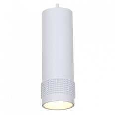 Подвесной светильник Favourite Kinescope 2453-1P