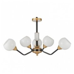 Подвесная люстра Favourite Germen 2550-6P