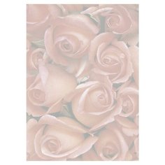 Бумага Decadry A4 Designed papers 90 г/м² 20 лист., ковер из роз