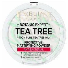 Eveline Cosmetics Пудра компактная Botanic Expert матирующая, антибактериальная 3 в 1 001 Transparent