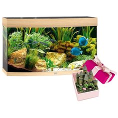 Аквариум VISION-180 LED 180л светлое дерево + Декорация ПОДВОРЬЕ 18,5х12,5х21см пластик Juwel