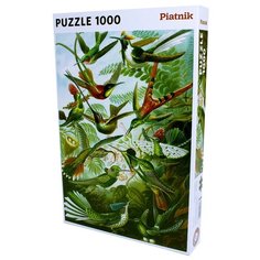 Пазл Колибри, Ernst Haeckel, 1000 деталей Piatnik