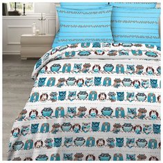 КПБ 1,5сп Василиса 7184/1 Совы, 145х215, 150х214, 70х70см 2шт, хл100%