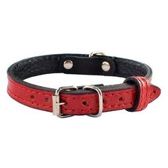 Ошейник Дарэлл Брайт (710012), обхват шеи 20-26 см красный