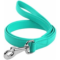 Поводок для собак COLLAR Glamour ментоловый 1.22 м 25 мм