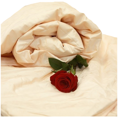 Одеяло Kingsilk Elisabette Элит теплое, 140 х 205 см (персиковый)