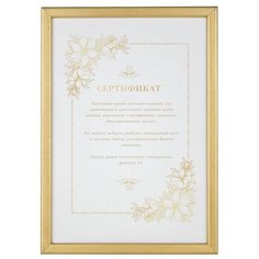 Фоторамка Mpa certificate 21х29,7 , золото