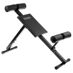 Скамья для пресса и спины Absolute Champion