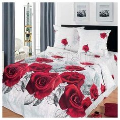 Постельное белье Письмо Татьяне 2 спальный с евро простыней Артпостель