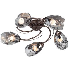 Потолочная люстра Vitaluce V4937-7/5PL