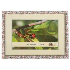 Фоторамка Мир рамок 1017-3190 21x30 см разноцветный
