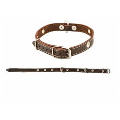 Darell Ошейник простой 16мм 1 слой "Стандарт" безразмерный черный до 40см Дарэлл