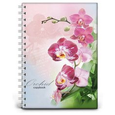 Бизнес-тетрадь 120л, А4, Орхидея,гребень, клетка 120-8106 Проф Пресс