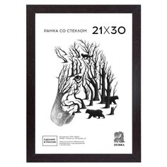 Рамка формат А4 цвет венге со стеклом МДФ 105 Зебра
