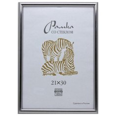 Рамка пластиковая А4, 513 (серебро) Зебра