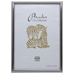 Рамка пластиковая А3 (серебро) 513 Зебра
