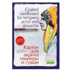 Папка для акрила, темперы и гуаши, блок картон, А4, 8л, 4-094 2 шт. Альт