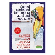 Папка для акрила, темперы и гуаши, блок картон, А3, 8л, 4-093 Альт