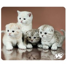 Коврик для компьютерной мыши "Cat", VS-B4650, 3 шт