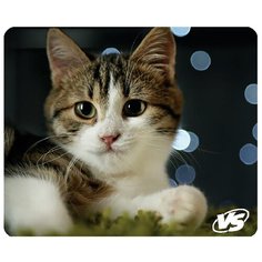Коврик для компьютерной мыши "Cat", VS-B4651, 3 шт